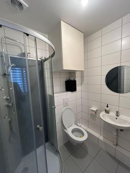 Studio Proche Du Centre-Ville Strazburg Dış mekan fotoğraf